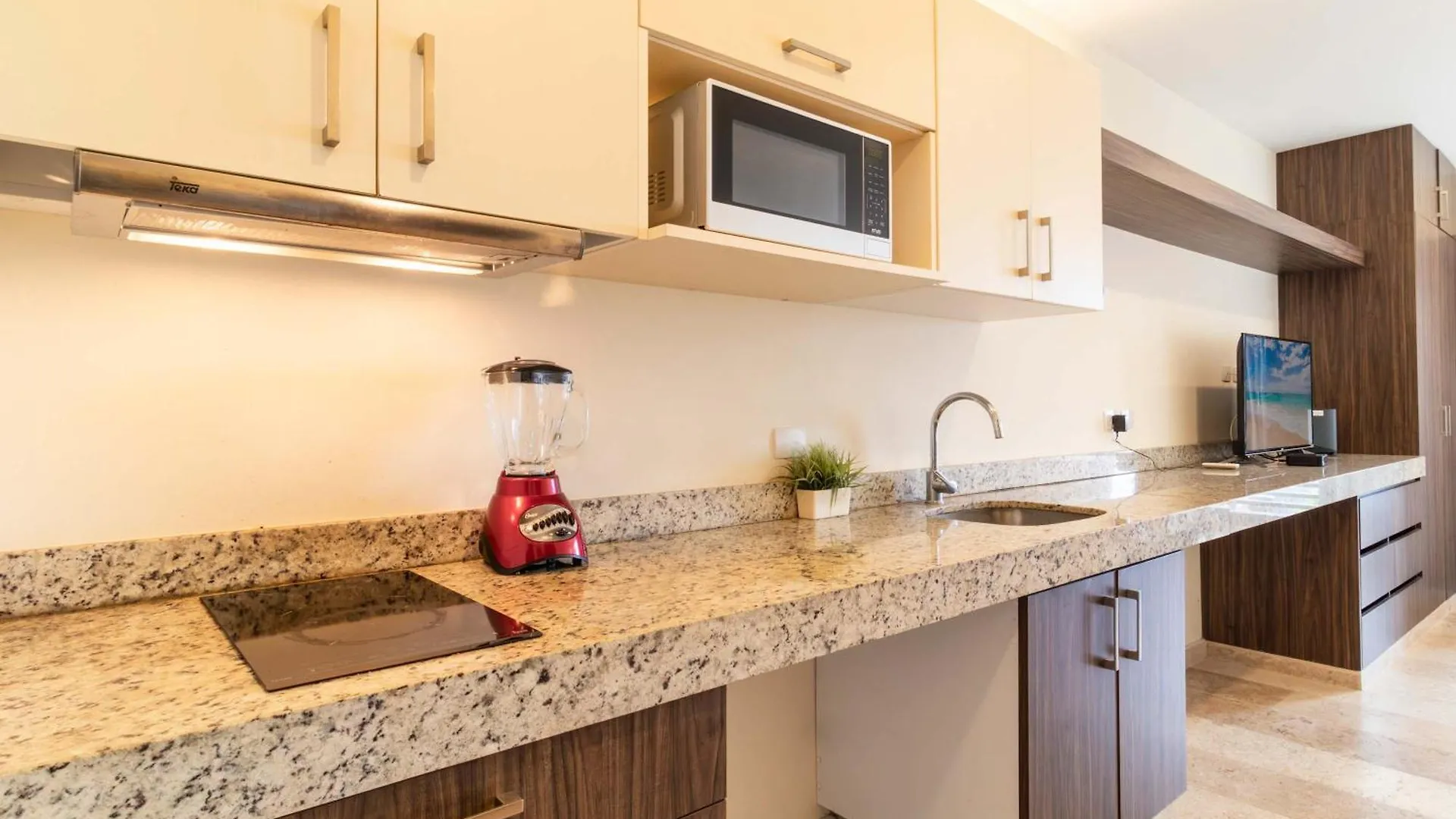 Apartment Cozy Loft In Playa Del Carmen 1 Bedroom