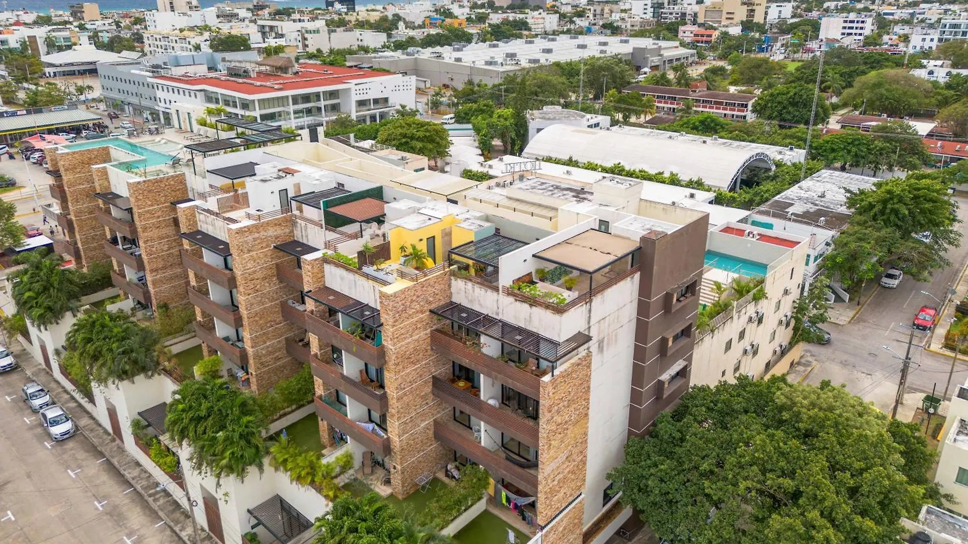 Cozy Loft In Playa Del Carmen 1 Bedroom
